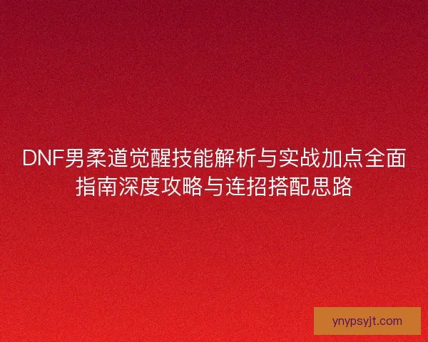 DNF男柔道觉醒技能解析与实战加点全面指南深度攻略与连招搭配思路